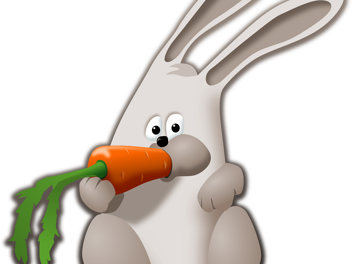 grøntsager kanin kaninføde